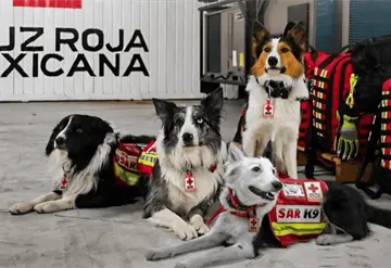 Cruz Roja Mexicana env&iacute;a 22 binomios caninos a Venezuela