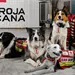 Cruz Roja Mexicana env&iacute;a 22 binomios caninos a Venezuela
