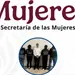 Semujeres respalda detenci&oacute;n de V&iacute;ctor Rodr&iacute;guez por agresiones