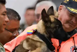 Venezuela dona cachorra al Ej&eacute;rcito Mexicano como s&iacute;mbolo de agradecimiento