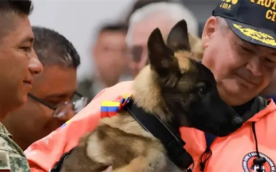Venezuela dona cachorra al Ej&eacute;rcito Mexicano como s&iacute;mbolo de agradecimiento