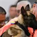 Venezuela dona cachorra al Ej&eacute;rcito Mexicano como s&iacute;mbolo de agradecimiento