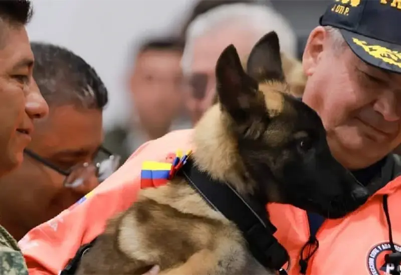 Venezuela dona cachorra al Ej&eacute;rcito Mexicano como s&iacute;mbolo de agradecimiento