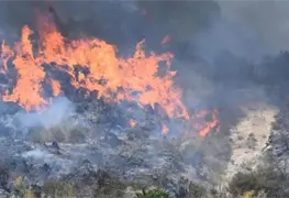 Tragedia en Espa&ntilde;a: Incendio forestal deja al menos 12 muertos y 19 desaparecidos en Andaluc&iacute;a
