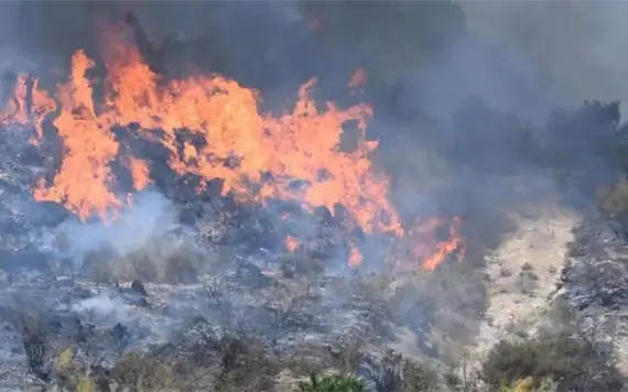 Tragedia en Espa&ntilde;a: Incendio forestal deja al menos 12 muertos y 19 desaparecidos en Andaluc&iacute;a