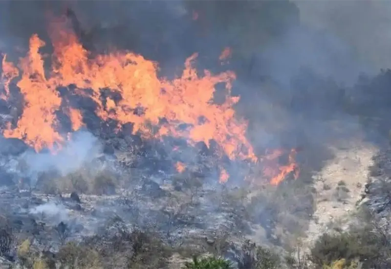 Tragedia en Espa&ntilde;a: Incendio forestal deja al menos 12 muertos y 19 desaparecidos en Andaluc&iacute;a