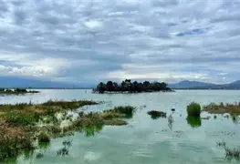 Recuperaci&oacute;n del Lago de Texcoco: Claudia Sheinbaum destaca impacto positivo
