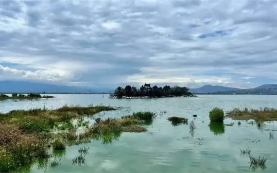 Recuperaci&oacute;n del Lago de Texcoco: Claudia Sheinbaum destaca impacto positivo