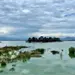 Recuperaci&oacute;n del Lago de Texcoco: Claudia Sheinbaum destaca impacto positivo