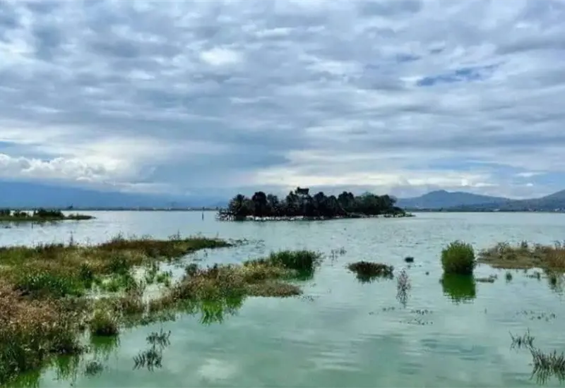 Recuperaci&oacute;n del Lago de Texcoco: Claudia Sheinbaum destaca impacto positivo