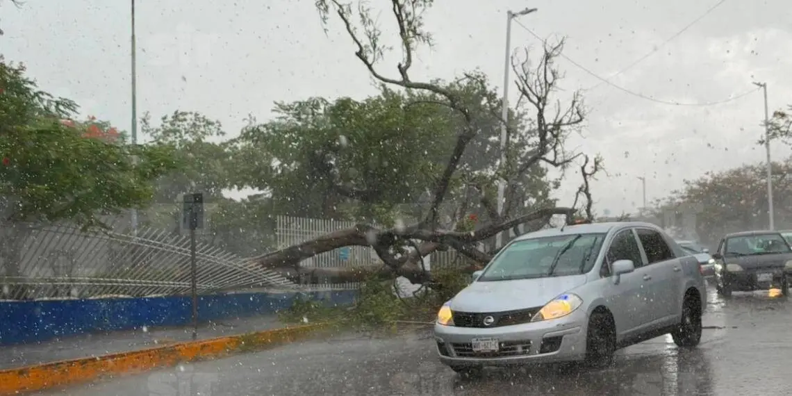 Intensa lluvia y vientos derriban árboles en Villahermosa