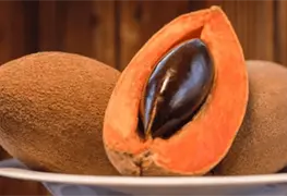 Semilla de mamey, beneficios para belleza y tradici&oacute;n culinaria