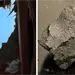 Meteorito ca&iacute;do en EU revela qu&iacute;micos de otro mundo