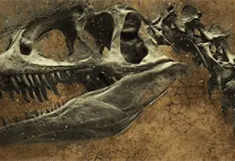 Hallazgo cient&iacute;fico revela el impacto del meteorito CO en la extinci&oacute;n de los dinosaurios