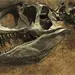 Hallazgo cient&iacute;fico revela el impacto del meteorito CO en la extinci&oacute;n de los dinosaurios