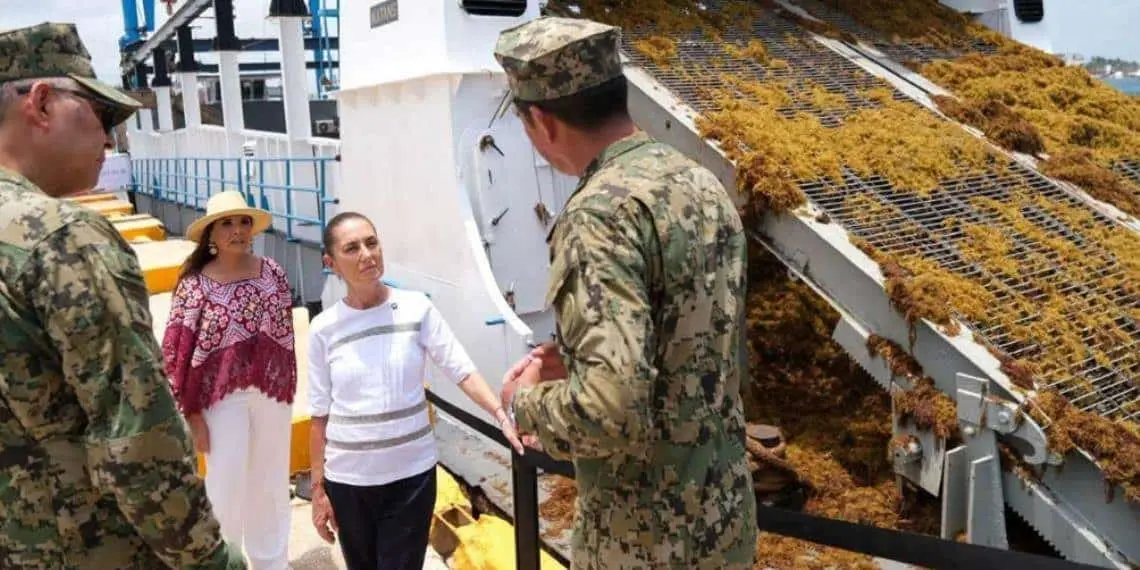 Impacto del sargazo en el turismo de Quintana Roo