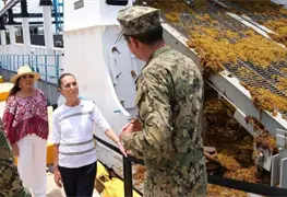 Impacto del sargazo en el turismo de Quintana Roo