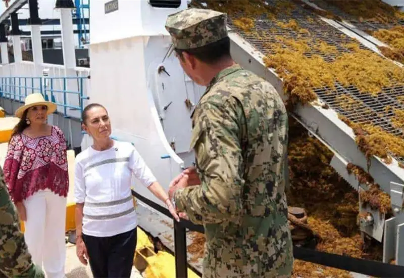 Impacto del sargazo en el turismo de Quintana Roo