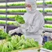 Brote en Taco Bell pone bajo la lupa a exportaciones agr&iacute;colas de M&eacute;xico