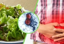 Tres casos de cyclospora detectados en M&eacute;xico
