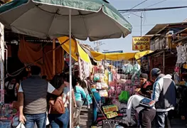 Clase Trabajadora: Entre el olvido y la explotaci&oacute;n (I)