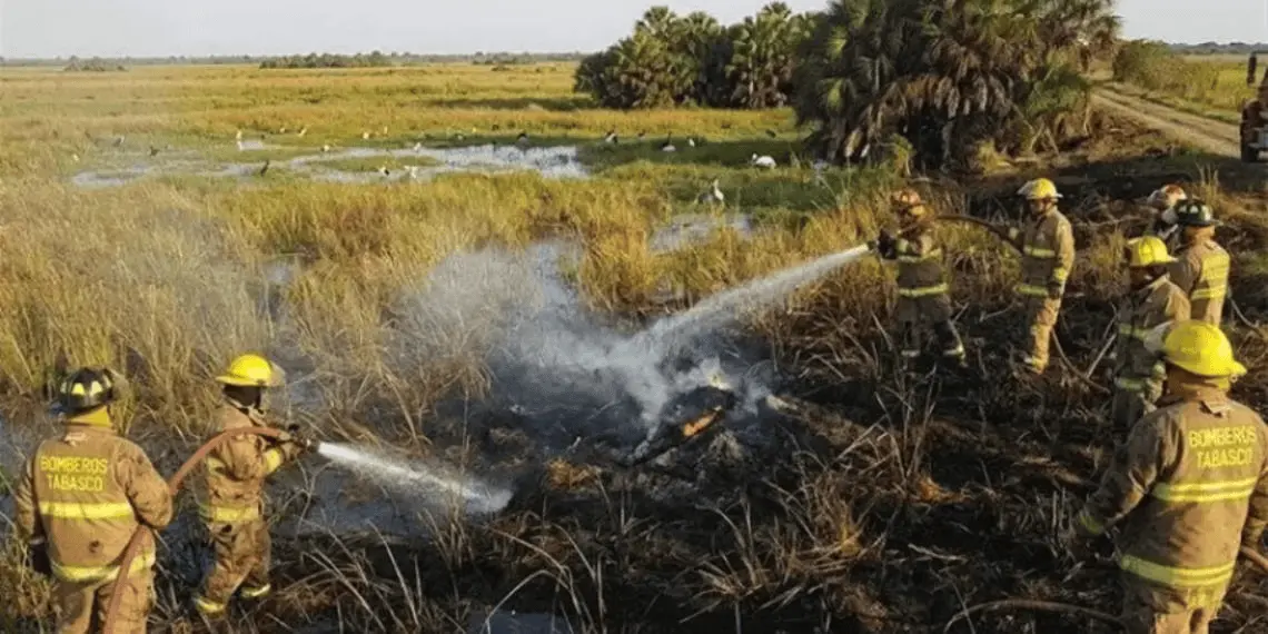 Incendio consume 137 hectáreas en ANP