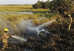 Incendio consume 137 hect&aacute;reas en ANP