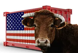 Reapertura de importaciones de ganado mexicano a Estados Unidos en marcha